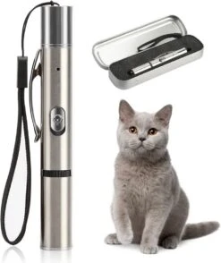 Merkloos Laserpen - USB Oplaadbaar - Kattenspeeltjes - Verschillende Standen - Zilver - Houder -Dieren Product Winkel 1009x1200 3