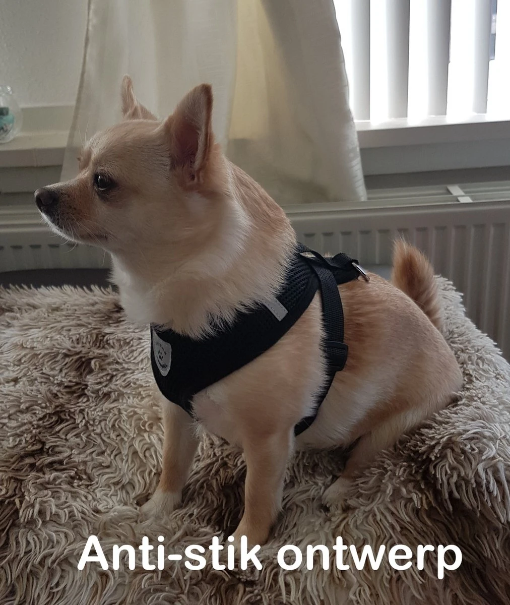 Luxyana® Honden Tuigje - XS - 25-28cm - Geschikt Voor Puppy En Als Kattentuigje - Easy Step-in Hondenharnas - Inclusief Bijpassend Riempje - Zwart 5 Luxyana® Honden Tuigje - XS - 25-28cm - Geschikt Voor Puppy En Als Kattentuigje - Easy Step-in Hondenharnas - Inclusief Bijpassend Riempje - Zwart - Afbeelding 5