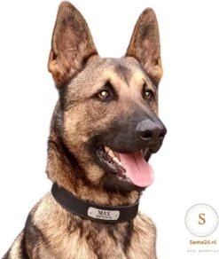 Honden Halsband Met Naam En Telefoonnummer - Leer 100% - Hondenhalsband Met ID TAG - Maat M -Dieren Product Winkel 1015x1200 8