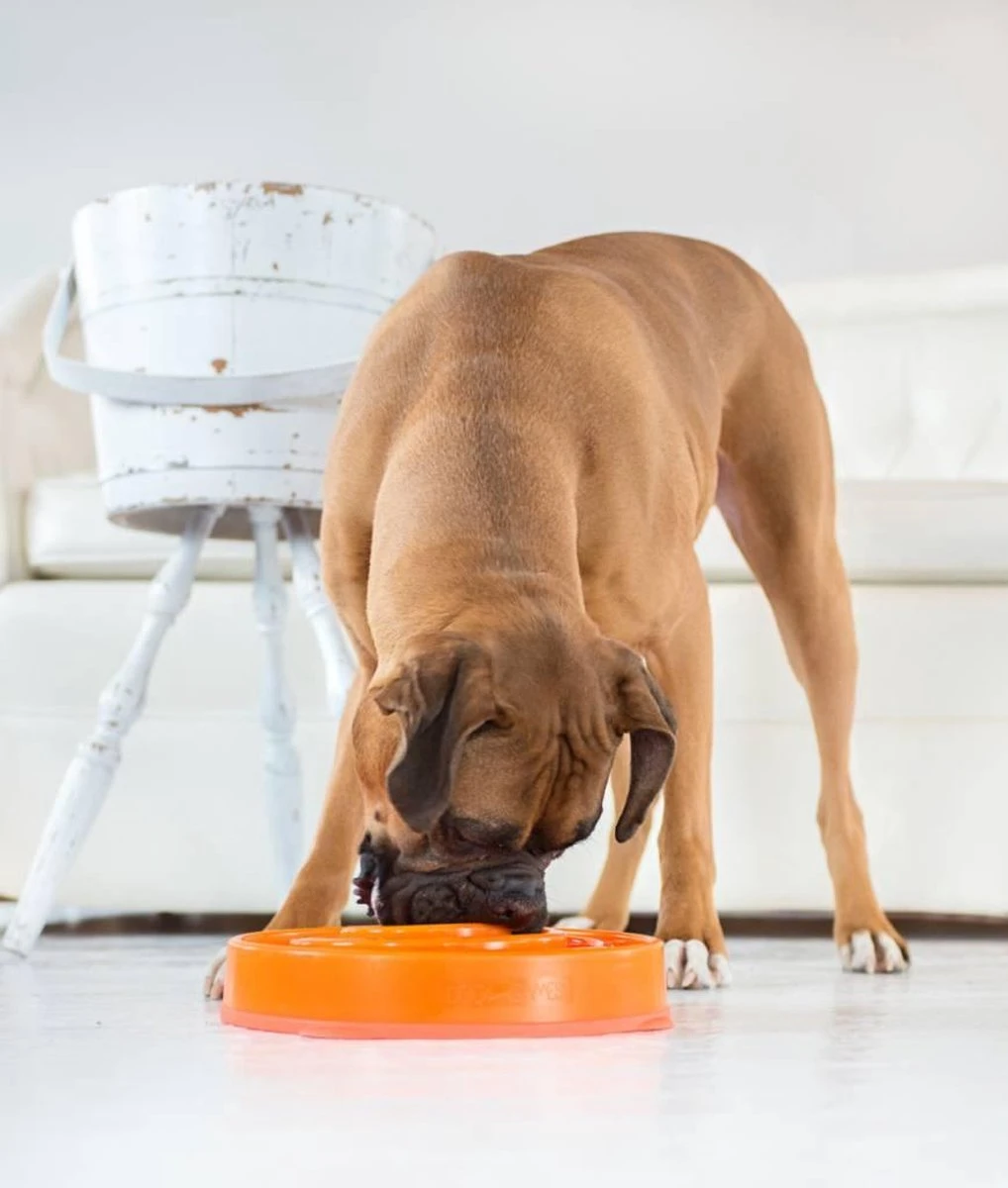 Outward Hound Slo Bowl Fun Feeder Voerbak - M - Oranje - Ø 28 Cm 15 Outward Hound Slo Bowl Fun Feeder Voerbak - M - Oranje - Ø 28 Cm - Afbeelding 15