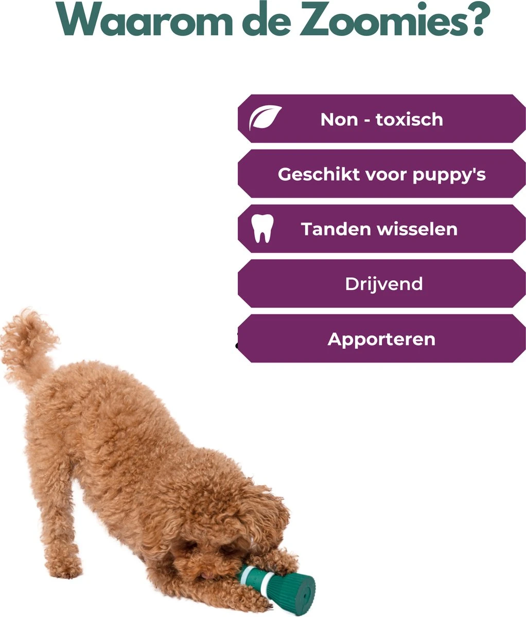 Furmey Zoomies - Honden Speelgoed - Hondenspeeltjes - Kauwbotten Hond - S Groen - 17 Cm 7 Furmey Zoomies - Honden Speelgoed - Hondenspeeltjes - Kauwbotten Hond - S Groen - 17 Cm - Afbeelding 7
