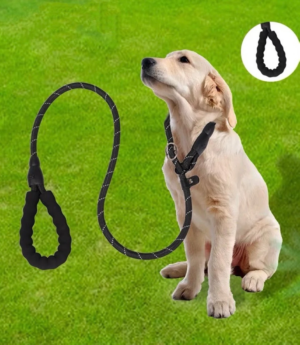 Nixnix - Honden Riem - 1,7cm - Zwart - 1,2cm Dik - Sliplijn - Nylon - Hondenriem - Verstelbaar - Jachtlijn Met Stop - Leiband 5 Nixnix - Honden Riem - 1,7cm - Zwart - 1,2cm Dik - Sliplijn - Nylon - Hondenriem - Verstelbaar - Jachtlijn Met Stop - Leiband - Afbeelding 5