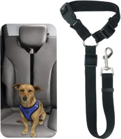 Merkloos Autogordel Voor Hond - Hondengordel Voor In De Auto – Verstelbare Hondengordel - Veiligheid Voor Hond – Hondenriem - Zwart -Dieren Product Winkel 1043x1200 4
