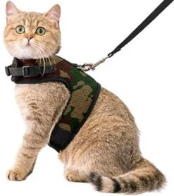 Kattentuigje Met Leiband Riem Kattenharnas Camouflage Maat L Kat & Kitten - Dieren Kattenriem - Cat Leash - Halsomvang 24 Tot 33cm - Borstomvang 36 Tot 41cm - Zootic®