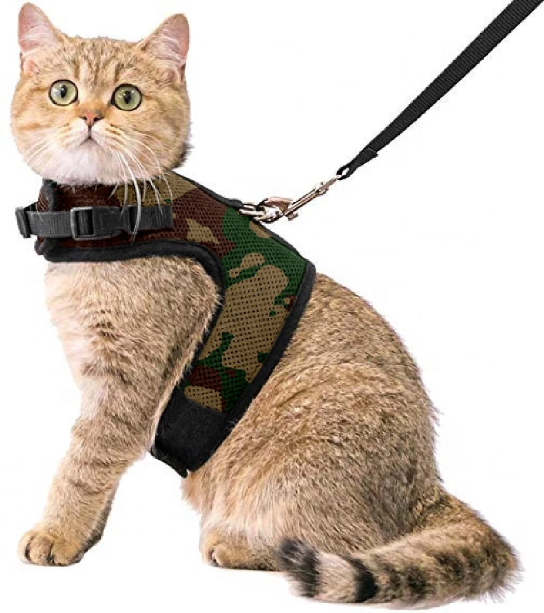 Kattentuigje Met Leiband Riem Kattenharnas Camouflage Maat L Kat & Kitten - Dieren Kattenriem - Cat Leash - Halsomvang 24 Tot 33cm - Borstomvang 36 Tot 41cm - Zootic® 1 Kattentuigje Met Leiband Riem Kattenharnas Camouflage Maat L Kat & Kitten - Dieren Kattenriem - Cat Leash - Halsomvang 24 Tot 33cm - Borstomvang 36 Tot 41cm - Zootic®