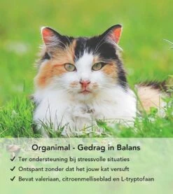 Gedrag In Balans - Kat - O.a. Bij Stress En Angst - 45 Tabletten A 400mg 6 Gedrag In Balans - Kat - O.a. Bij Stress En Angst - 45 Tabletten A 400mg -Dieren Product Winkel 1071x1200
