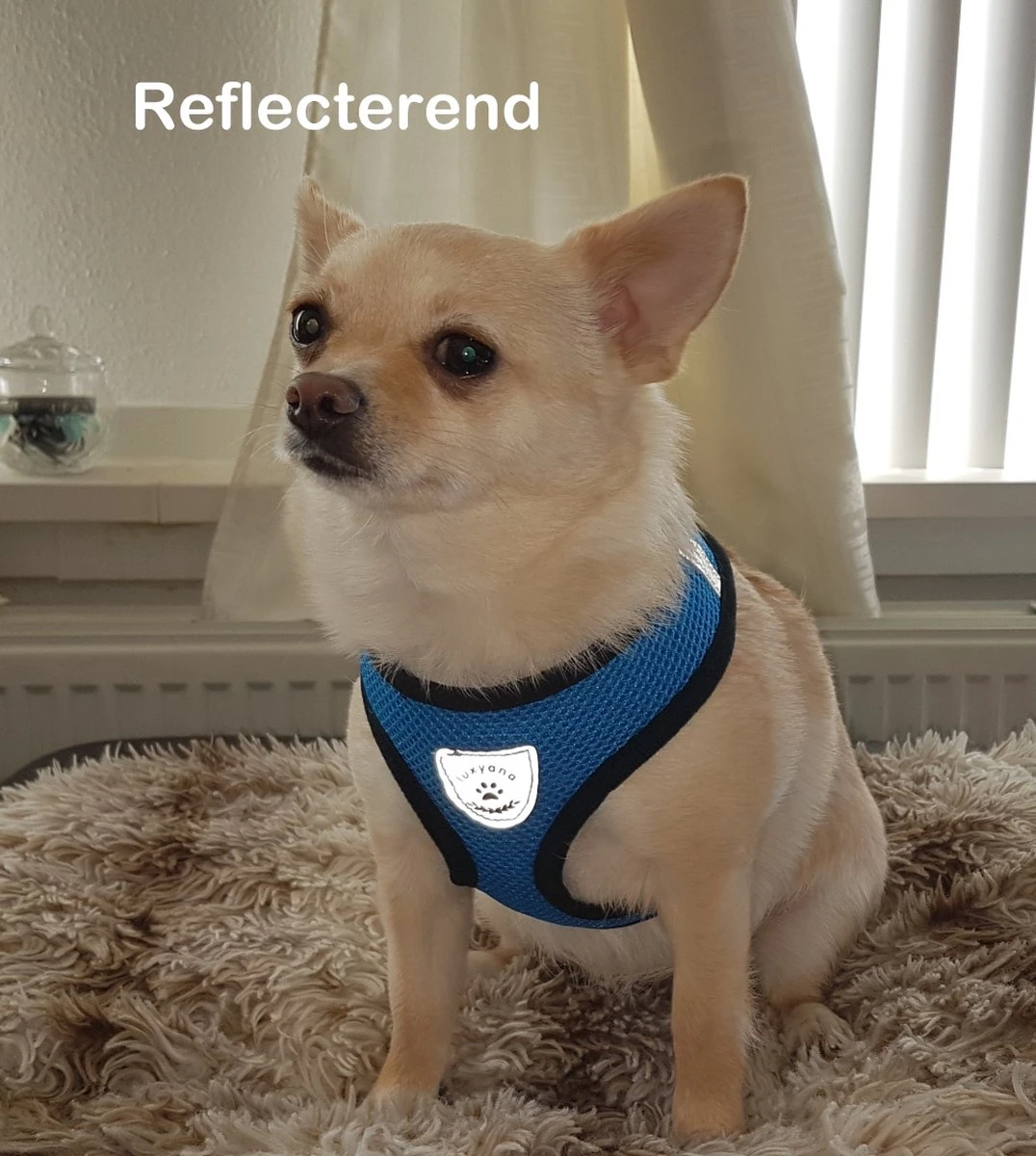 Luxyana® Honden Tuigje - XS - 25-28cm - Geschikt Voor Puppy En Als Kattentuigje - Easy Step-in Hondenharnas - Inclusief Bijpassend Riempje - Zwart 6 Luxyana® Honden Tuigje - XS - 25-28cm - Geschikt Voor Puppy En Als Kattentuigje - Easy Step-in Hondenharnas - Inclusief Bijpassend Riempje - Zwart - Afbeelding 6