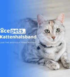 ACE Pets Reflecterende Kattenhalsband Met Veiligheidssluiting – Halsband Kat & Kitten - Met Adreskoker - Kittenhalsband & Kattenbandje Met Belletje - Geschikt Voor Apple Airtag - Zwart -Dieren Product Winkel 1096x1200 3