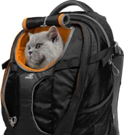 Hondenrugzak Voor Kleine Honden Met Diverse Opbergvakken - Voor Honden Tot 11 Kg - Kurgo G-train K9 - 33x53x25cm - Black 15 Hondenrugzak Voor Kleine Honden Met Diverse Opbergvakken - Voor Honden Tot 11 Kg - Kurgo G-train K9 - 33x53x25cm - Black -Dieren Product Winkel 1101x1200 7