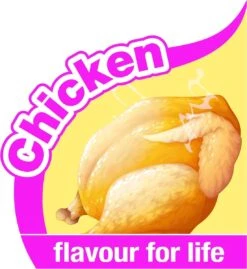 Nylabone Big Chew Kauwbot - Kipsmaak - Hond Zwaarder Dan 23 Kg -Dieren Product Winkel 1102x1200 5