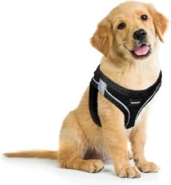 Topmast Airmesh Hondentuig - Click & Go - Petrol - S - Reflecterend - Harnas Hond - Hondentuigje - Hondenharnas - Voor Puppy, Kleine, Medium En Grote Hond -Dieren Product Winkel 1104x1200 9