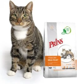 Prins VitalCare Multicat 4 Kg - Kat 12 Prins VitalCare Multicat 4 Kg - Kat -Dieren Product Winkel 1105x1200 1