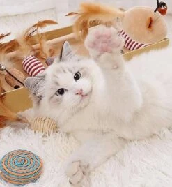 GIZMO Luxe Kattenspeeltjes Set - 7 Speeltjes - Interactieve Kattenhengel, Kattenspeelgoed & Speelmuisjes - Kitten Speeltjes -Dieren Product Winkel 1108x1200 1