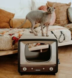 District 70 TELLY - Retro TV Krabmeubel - Instagrammable Kartonnen TV Voor Katten - 39 X 27 X 37 Cm -Dieren Product Winkel 1112x1200