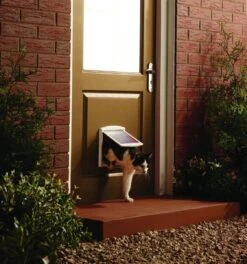 Petsafe 700 Kattenluik - S - Wit - 18.5 X 15.8 Cm 22 Petsafe 700 Kattenluik - S - Wit - 18.5 X 15.8 Cm -Dieren Product Winkel 1122x1200 3