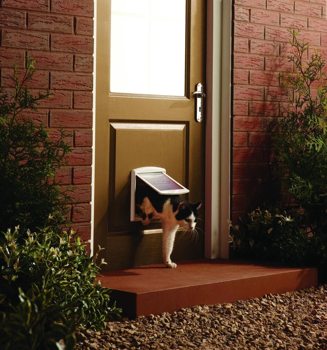 Petsafe 700 Kattenluik - S - Wit - 18.5 X 15.8 Cm 10 Petsafe 700 Kattenluik - S - Wit - 18.5 X 15.8 Cm - Afbeelding 10