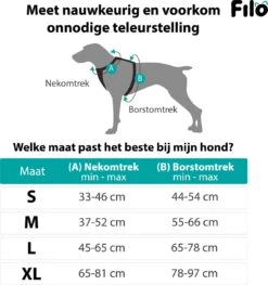 Filo Anti Trek Hondentuig S Met Hondenriem - Y Tuig Hond Verstelbaar - Hondentuigje Kleine Hond + Hondenlijn - Easy Walk Hondenharnas - Hondentuigjes - Leiband - Honden Tuigje - Puppy - Tuig - Hond -Dieren Product Winkel 1128x1200 7