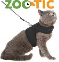 Kattentuigje Met Leiband Riem Kattenharnas Geel Maat L Kat & Kitten - Dieren Kattenriem - Cat Leash - Halsomvang 24 Tot 33cm - Borstomvang 36 Tot 41cm - Zootic® -Dieren Product Winkel 1135x1200 3