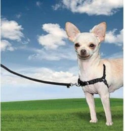 Petsafe Easy Walk® Deluxe Harness - Hondentuigje - Blauw - M - 1,8 M -Dieren Product Winkel 1138x1200 8