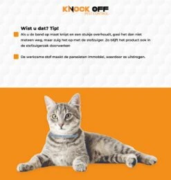 Knock Off Vlooien-tekenband – 100% Natuurlijke Vlooienbestrijding - Zonder Schadelijke Pesticiden Of Gif – Effectief Tot 4 Maanden – Nederlands- En Franstalige Handleiding – Regen- En Waterbestendig - Geschikt Voor Katten – 35 Cm -Dieren Product Winkel 1139x1200 1