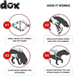 DDOXX Hondenharnas Nylon, Step-In, Verstelbaar, Uitbraakbestendig | Voor Kleine, Middelgrote & Grote Honden | Borstharnas Hond Kat Puppy Auto | Puppy Harnas Kat Harnas | Rood, S -Dieren Product Winkel 1142x1200 11