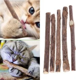 Matatabi Kauwstaafjes Voor Katten - 5x Matabi Stokjes - Kattenspeelgoed - 100% Natuurlijke Sticks - Plantaardig - Silver Vine Kauwstaven Voor Kittens - Kattenkruid Effect - Gebitsverzorging - 5 Stuks Vardaan Kauwstaven Voor Katten - XS - 11 Cm -Dieren Product Winkel 1143x1200 1