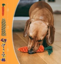 Nobleza Honden Speelgoed Set PLJ - 10 Stuks 12 Nobleza Honden Speelgoed Set PLJ - 10 Stuks -Dieren Product Winkel 1146x1200 16