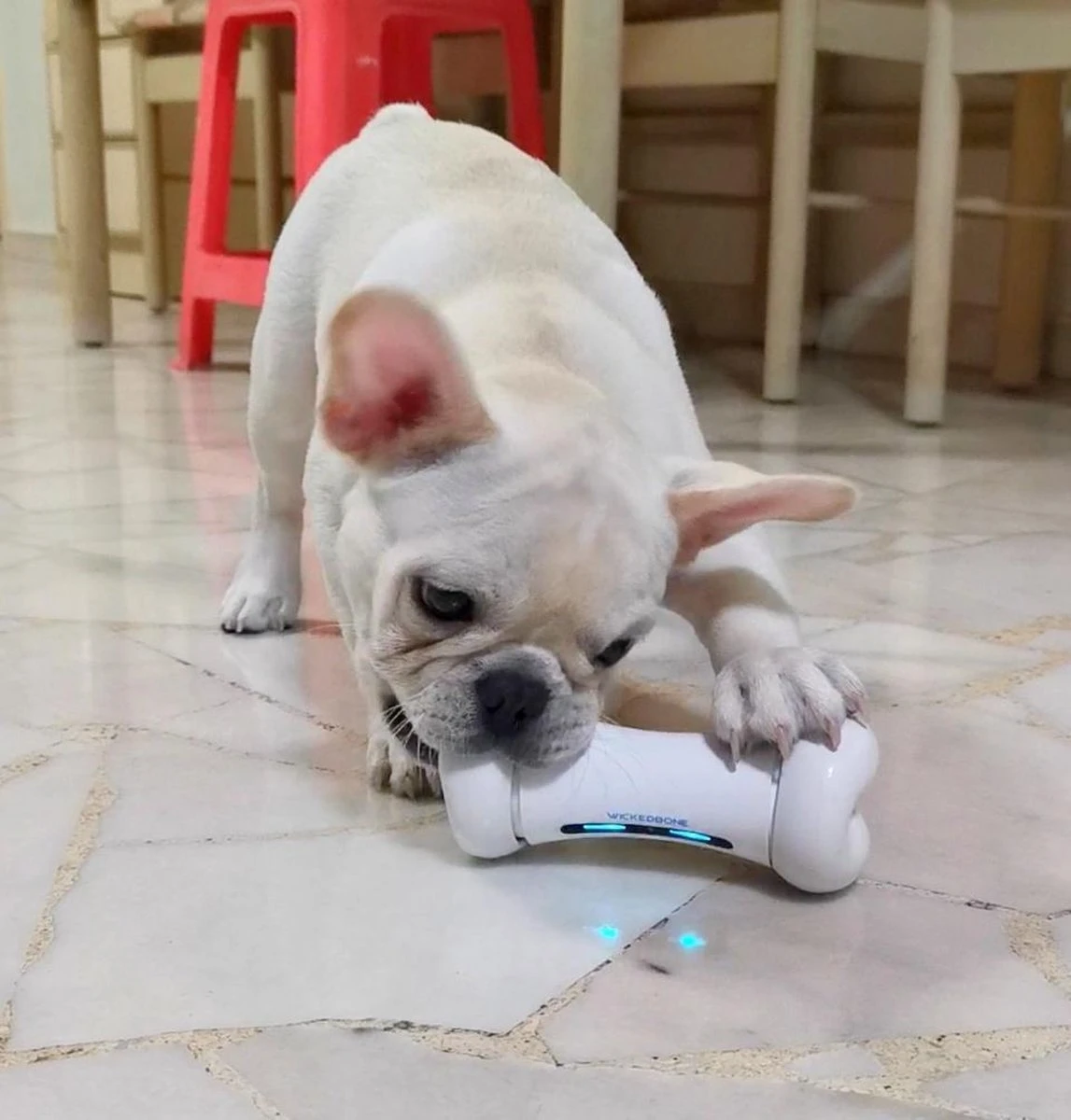 Cheerble Wickedbone|Automatisch Hondenspeeltje|Interactief En Intelligent Speelgoed Voor Honden|App & Bluetooth Bestuurbaar|USB Oplaadbaar 4 Cheerble Wickedbone|Automatisch Hondenspeeltje|Interactief En Intelligent Speelgoed Voor Honden|App & Bluetooth Bestuurbaar|USB Oplaadbaar - Afbeelding 4