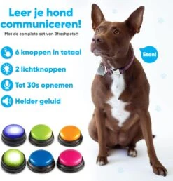 BFreshPets Praatknop Voor Honden - 6 Stuks - Dogbuttons - Hondenspeelgoed - Honden Training - Laat Uw Huisdier Spreken -Dieren Product Winkel 1151x1200 15