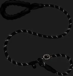 Nixnix - Honden Riem - 1,7cm - Zwart - 1,2cm Dik - Sliplijn - Nylon - Hondenriem - Verstelbaar - Jachtlijn Met Stop - Leiband 11 Nixnix - Honden Riem - 1,7cm - Zwart - 1,2cm Dik - Sliplijn - Nylon - Hondenriem - Verstelbaar - Jachtlijn Met Stop - Leiband -Dieren Product Winkel 1154x1200 11