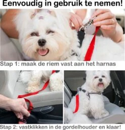 Hondenriem Autogordel Hondentuig Hondengordel Verstelbaar - Rood 13 Hondenriem Autogordel Hondentuig Hondengordel Verstelbaar - Rood -Dieren Product Winkel 1154x1200 13