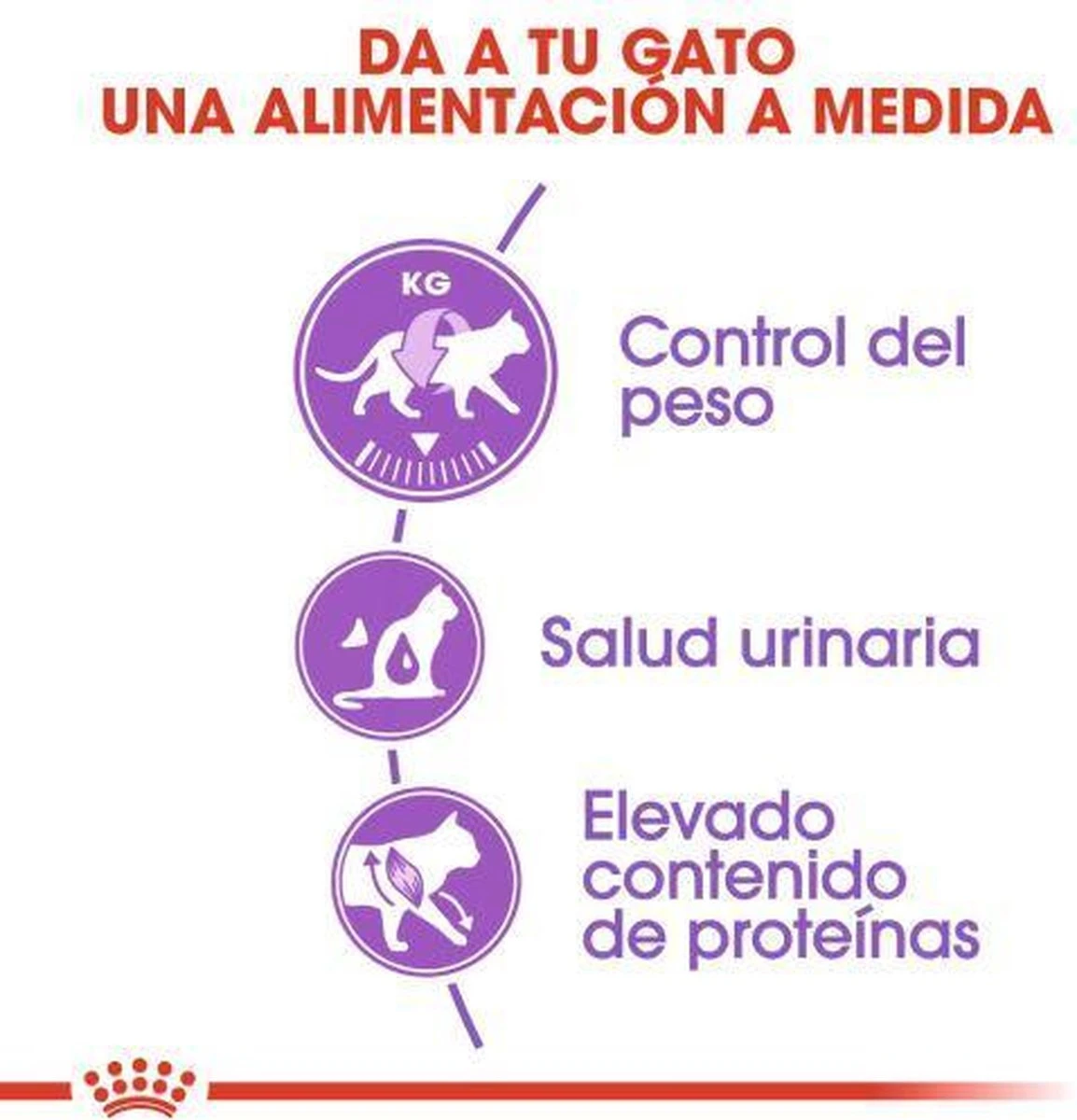 Royal Canin Sterilised 37 - Kattenvoer - 10 Kg 4 Royal Canin Sterilised 37 - Kattenvoer - 10 Kg - Afbeelding 4