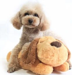 Merkloos Knuffel Met Hartslag Speciaal Voor Puppy's - Snuggle Heart Beat Puppy - Hartslagknuffel - Pluche 16 Merkloos Knuffel Met Hartslag Speciaal Voor Puppy's - Snuggle Heart Beat Puppy - Hartslagknuffel - Pluche -Dieren Product Winkel 1160x1200 12