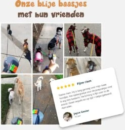 Dubbele Honden Riem – Leiband Hond – Hondenlijn – Looplijn Hond – 2 Honden – 3 Meter – Tot 12kg Per Hond – Reflecterende Lijnen – Met Zaklamp – 360° Draaien – Verstelbaar - Zwart -Dieren Product Winkel 1160x1200 2