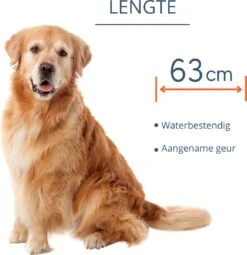 Merkloos Vlooienband Hond - 8 Maanden Bescherming - Vlooienband - Natuurlijk - Tekenband - Anti Vlooien - 63cm - Fit All Sizes - Vlooienbandjes Hond - Vlooien - Teken 16 Merkloos Vlooienband Hond - 8 Maanden Bescherming - Vlooienband - Natuurlijk - Tekenband - Anti Vlooien - 63cm - Fit All Sizes - Vlooienbandjes Hond - Vlooien - Teken -Dieren Product Winkel 1162x1200 10