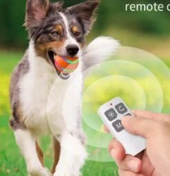Merkloos Slimme Interactieve Zelf Rollende Bal Voor Honden - 3 Speelmodi - Honden Speelgoed - Hondenspeeltjes - USB Oplaadbaar - Met Afstandsbediening - Intelligente Automatische Roterende Waterproof Led Bal Met Afstandsbediening - Oranje -Dieren Product Winkel 1164x1200 28