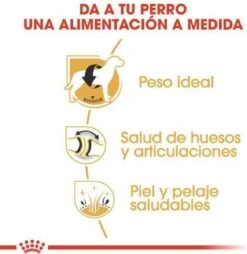 Royal Canin Labrador Retriever Adult 12 KG 25 Royal Canin Labrador Retriever Adult 12 KG -Dieren Product Winkel 1168x1200 19