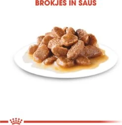 Royal Canin Shn Mini Adult Pouch - Hondenvoer - 12 X 85 G 15 Royal Canin Shn Mini Adult Pouch - Hondenvoer - 12 X 85 G -Dieren Product Winkel 1177x1200 9