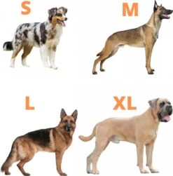 Always Prepared © Pro K9 Hondentuig - Anti Trek - Y Tuig - Middel En Grote Hond - Veiligheidstuig -Dieren Product Winkel 1179x1200 16