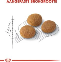 ROYAL CANIN® Aroma Exigent - Kattenvoer - 400 Gram -Dieren Product Winkel 1180x1200 4