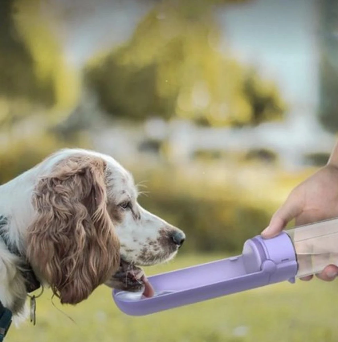 Vouwbare Honden Waterfles 420ml - Honden Fles Water - Honden Bidon - Honden Drinkfles - Paars 5 Vouwbare Honden Waterfles 420ml - Honden Fles Water - Honden Bidon - Honden Drinkfles - Paars - Afbeelding 5