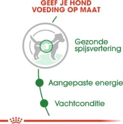 Royal Canin Shn Mini Adult Pouch - Hondenvoer - 12 X 85 G 20 Royal Canin Shn Mini Adult Pouch - Hondenvoer - 12 X 85 G -Dieren Product Winkel 1186x1200 23