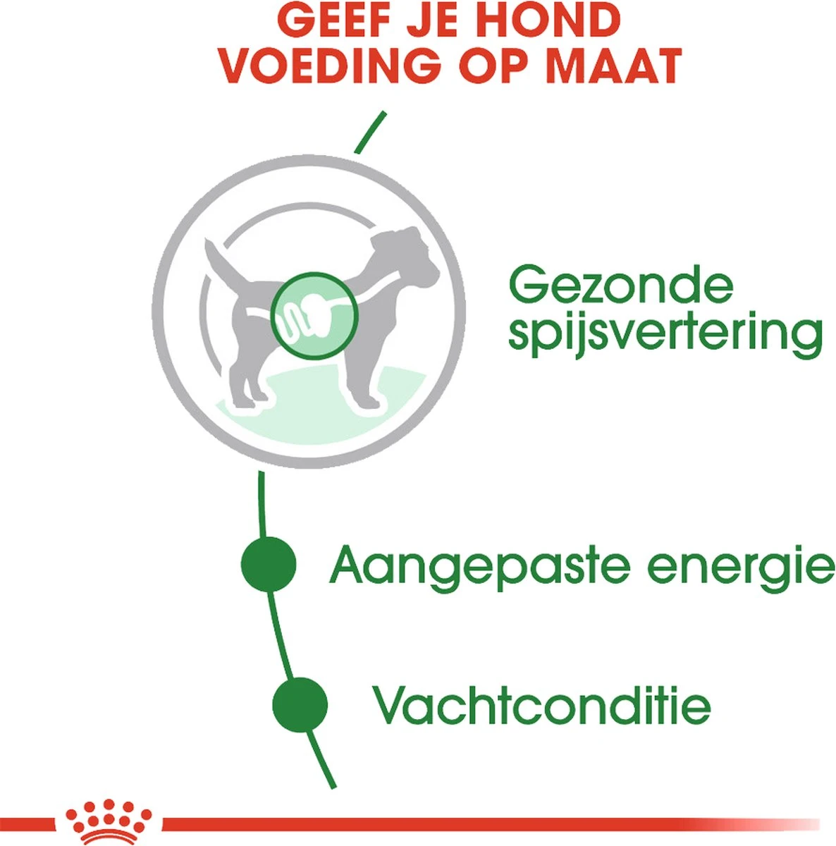 Royal Canin Shn Mini Adult Pouch - Hondenvoer - 12 X 85 G 9 Royal Canin Shn Mini Adult Pouch - Hondenvoer - 12 X 85 G - Afbeelding 9