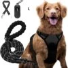 Somstyle Anti Trek Hondentuig L Met Hondenriem - Leiband - Y Tuig Hond - Hondenharnas - Riem - Zwart