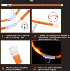 Merkloos Led Halsband Hond Usb Oplaadbaar 20-50 CM - Led Honden Halsband - Blauw - Extra Small Tm Extra Large - Universeel - Honden Lampje - Honden Licht - Honden Veiligheid - Lichtgevende Halsband Hond -Dieren Product Winkel 1188x1200 26