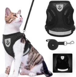 Merkloos Kittentuigje - Kattentuigje Reflecterend - Kattenharnas - Kattentuig Met Looplijn - Zwart - Maat XS -Dieren Product Winkel 1189x1200 7