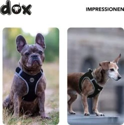 DDOXX Borstharnas Air Mesh, Step-In, Reflecterend | Vele Kleuren | Voor Kleine, Middelgrote En Middelgrote Honden | Hondenharnas Hond Kat Puppy | Kattenharnas Puppy Harnas | Zwart, M -Dieren Product Winkel 1191x1200 9