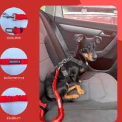 Autogordel Voor Honden - Rood - Voor Optimale Veiligheid Onderweg Voor Hond En Baasje - Schok Absorberend - Hondengordel - Voor Alle Honden - Bestand Tegen Grote Krachten - Geschikt Voor Bijna Alle Auto's -Dieren Product Winkel 1193x1200 8