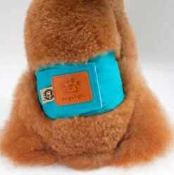 Merkloos Hondenluier Voor Kleine Hond - Luier Voor Reu - Buikband Maat S 27 Cm X 25 Cm 7 Merkloos Hondenluier Voor Kleine Hond - Luier Voor Reu - Buikband Maat S 27 Cm X 25 Cm -Dieren Product Winkel 1194x1200 18
