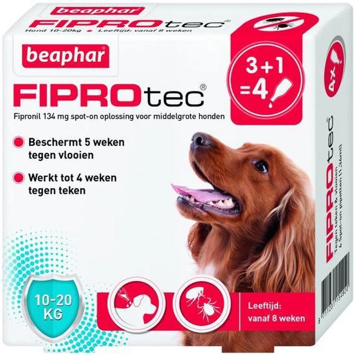 Beaphar Fiprotec Vlooien- En Tekenmiddel Hond 10-20 Kg - 4 Pipetten 12 Beaphar Fiprotec Vlooien- En Tekenmiddel Hond 10-20 Kg - 4 Pipetten - Afbeelding 12